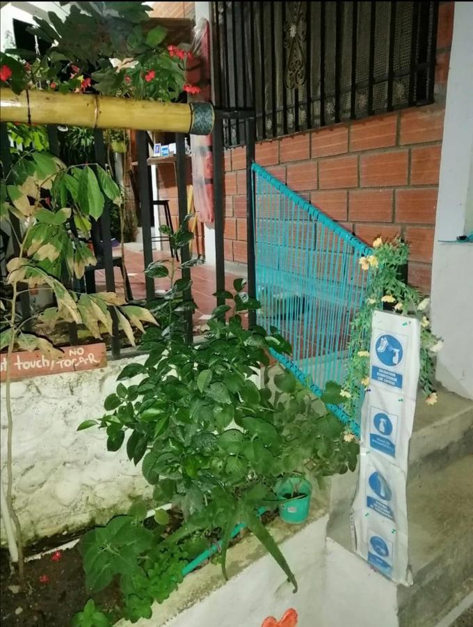 Casa Chill Out Otel Minca Dış mekan fotoğraf