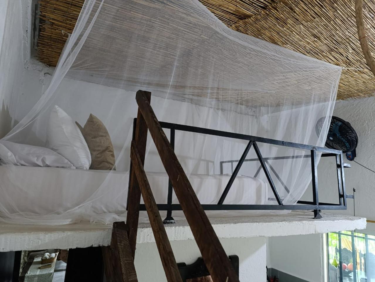 Casa Chill Out Otel Minca Dış mekan fotoğraf
